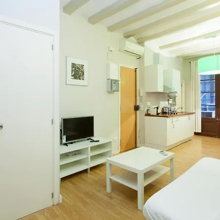 Apartmán Mercaders *